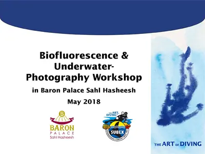 Fluo, Photo, Bio Event in Sahl Hasheesh
